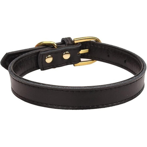 Basic Classic Padded Leather Pet Collars For Cats Puppy Small Medium Dogs 2