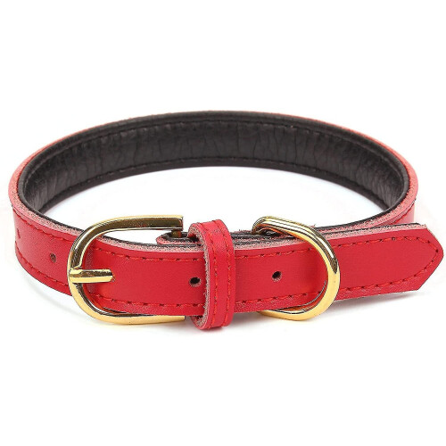 Basic Classic Padded Leather Pet Collars For Cats Puppy Small Medium Dogs
