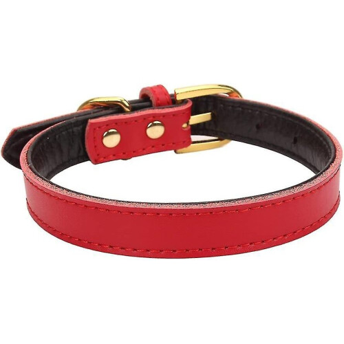 Basic Classic Padded Leather Pet Collars For Cats Puppy Small Medium Dogs 2