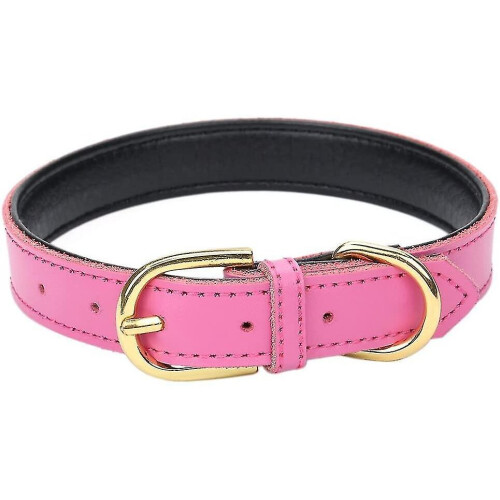 Basic Classic Padded Leather Pet Collars For Cats Puppy Small Medium Dogs