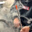 100 Hookah Tips, Disposable Bpa-free | Individually Wrapped 4