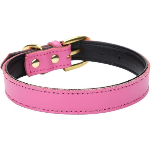 Basic Classic Padded Leather Pet Collars For Cats Puppy Small Medium Dogs 2