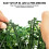 Artificial Plant Flower Wall Panel 1mx1m Living Hedge Foliage Wall 5