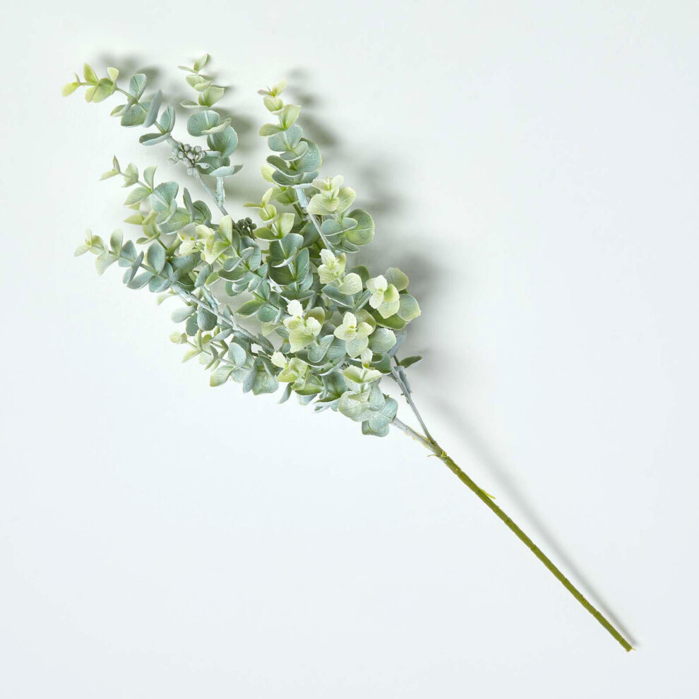 Eucalyptus Spray Single Stem 68 cm