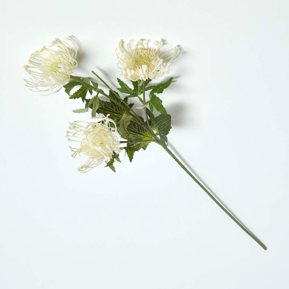 Cream Protea Spray Single Stem Flower 65 cm