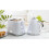 Daewoo Daewoo SDA1780 Argyle Collection 1.7L Electric Kettle - Concealed Element, Removable Lid & Filter, Easy-Clean, Auto Shut-Off 4