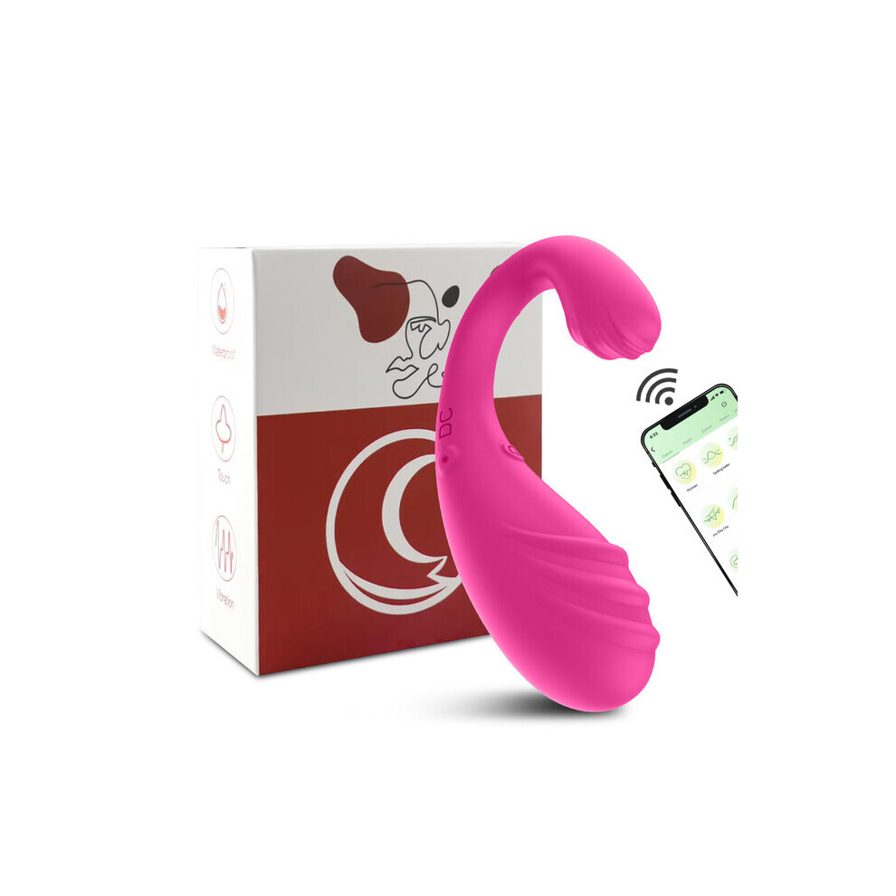 Wearable Panty G spot Bullet Vibrator with Remote & App Long