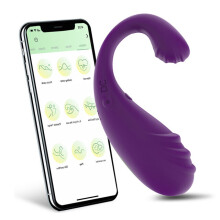 (Purple no box) Long Distance Bluetooth Wearable Panty Vibrator APP Control Clit G Spot Massager Dual Stimulation Mini Egg for Couple Adult Toys