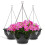 BLOSTM 12" Hanging Baskets 2