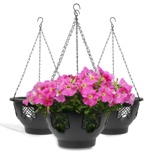 BLOSTM 12" Hanging Baskets 1