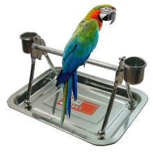 Stainless Steel Pet Birds Stand With Play Toy For Medium Large Bird Parrot Hens Macaw|Bird Toys