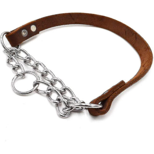 Leather Dog Collar - Training Collar Stainless Steel