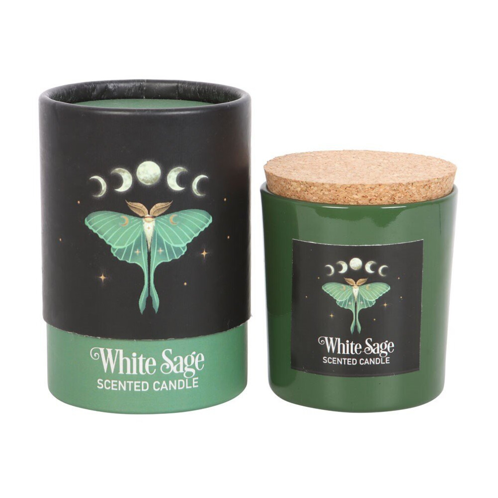 Something Different White Luna Moth Sage Candle
