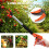 0.6m Tree Pruner Shears Garden Branch Tool Long Reach Limb Cutter Fruit Picker 4