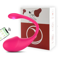 (Type 3 - box) App Vibrators for Women Long Distance Bluetooth G Spot Dildo Wear Vibrating Egg Female Vaginal Ball Panties Sex Toys for Couples