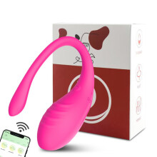 (Type 1 - box) App Vibrators for Women Long Distance Bluetooth G Spot Dildo Wear Vibrating Egg Female Vaginal Ball Panties Sex Toys for Couples