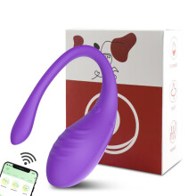 (Type 2 - box) App Vibrators for Women Long Distance Bluetooth G Spot Dildo Wear Vibrating Egg Female Vaginal Ball Panties Sex Toys for Couples