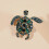 1pc Fashionable Male Turtle Brooch 5