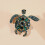 1pc Fashionable Male Turtle Brooch 1