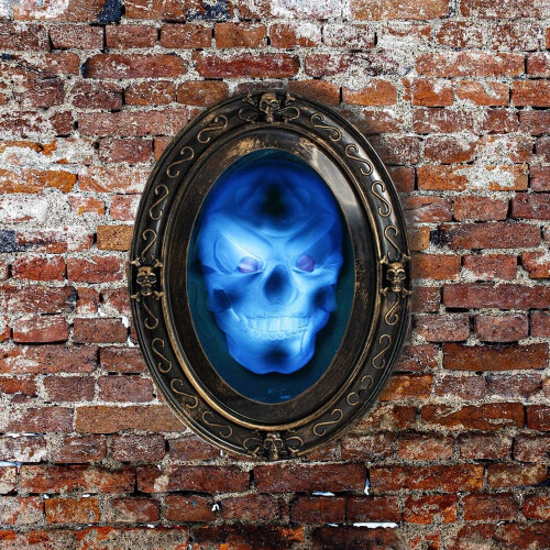 Halloween Haunted Oval Mirror NEW Motion Sensor Speaking Spooky Picture TRIXES 2