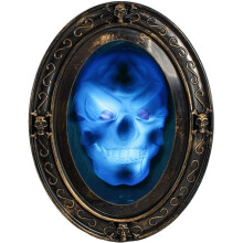 Halloween Haunted Oval Mirror NEW Motion Sensor Speaking Spooky Picture TRIXES
