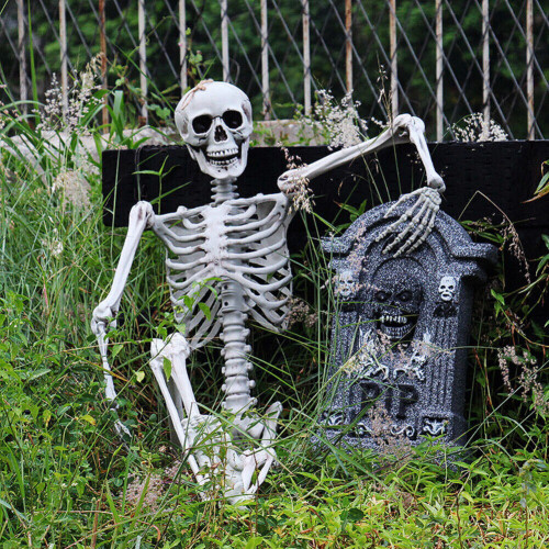 170cm Giant Life Size Human Skeleton Model Horror Bone Posable Halloween Decor 1