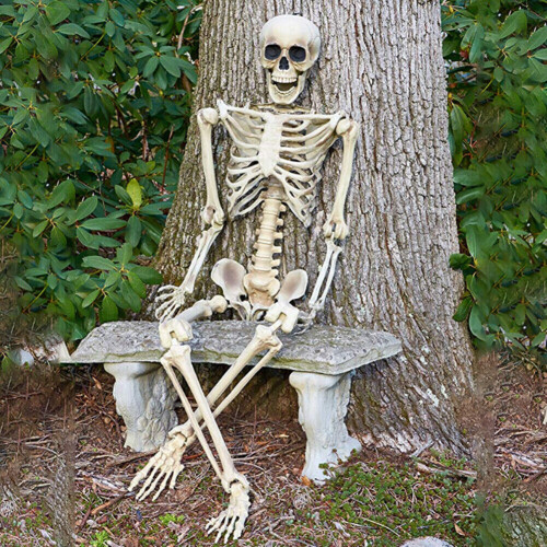 170cm Giant Life Size Human Skeleton Model Horror Bone Posable Halloween Decor 2