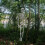 170cm Giant Life Size Human Skeleton Model Horror Bone Posable Halloween Decor 6