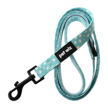 Dotty About You - Lead
