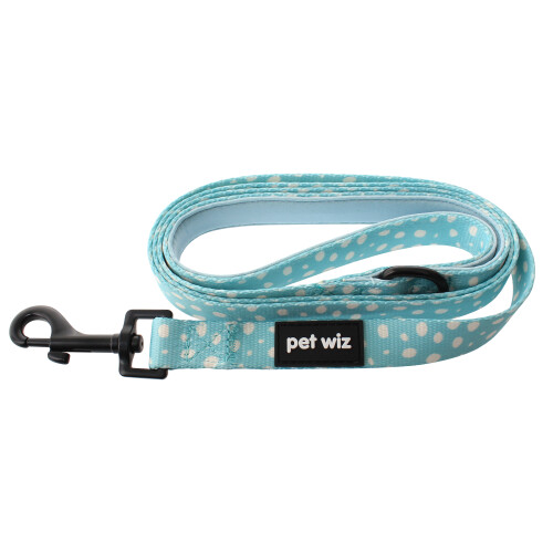 Dotty About You - Lead 2