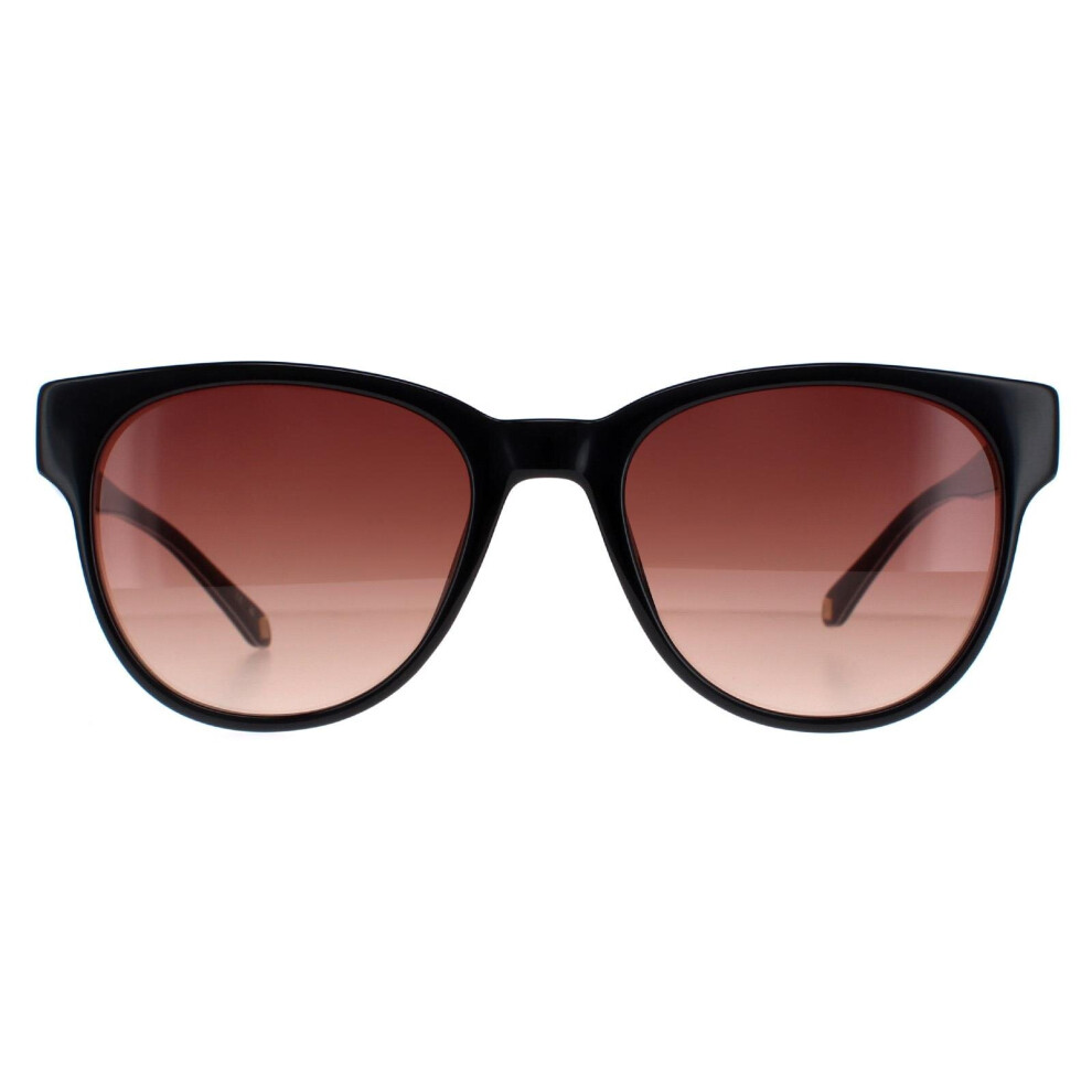 Ted Baker Sunglasses TB1627 Ware 001 Black Brown Gradient