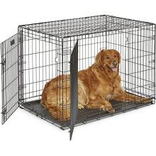 MidWest Homes For Pets Double Door iCrate Metal Dog Crate & divider panel, 42"