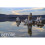 Cokin Circular Polarizer M (P) Series Camera Filter 461164 P164 4