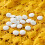 10Pack Insect Balls Moth Protection Natural Moth Balls Wardrobe Mildew 13