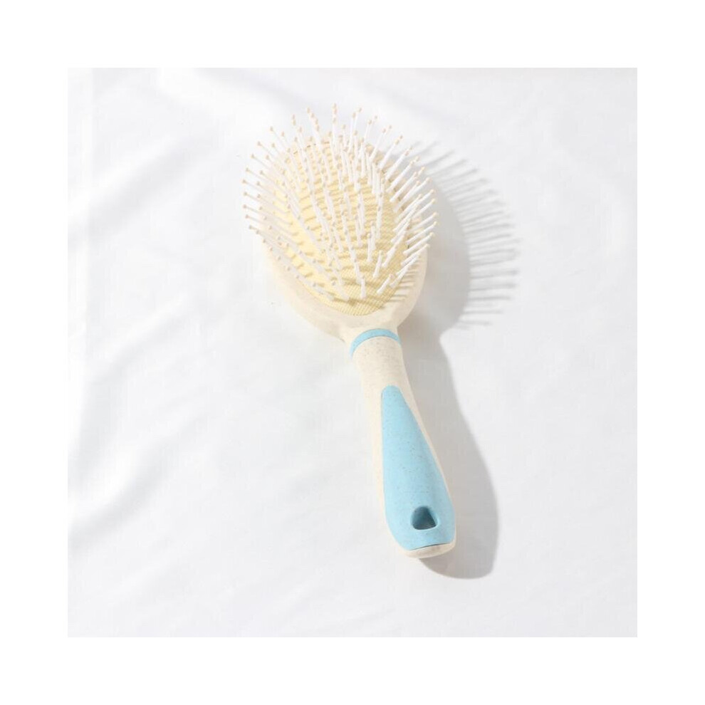 Dechoicelife Unisex Not,Specified (A-15) Women's Fashion Cute Airbag Comb Massage Air Cushion Comb Anti-Static Hair Comb Straighten Hair Hairdressing Tools