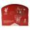 Liverpool FC Liverpooler Mini-Basketball-Set 2