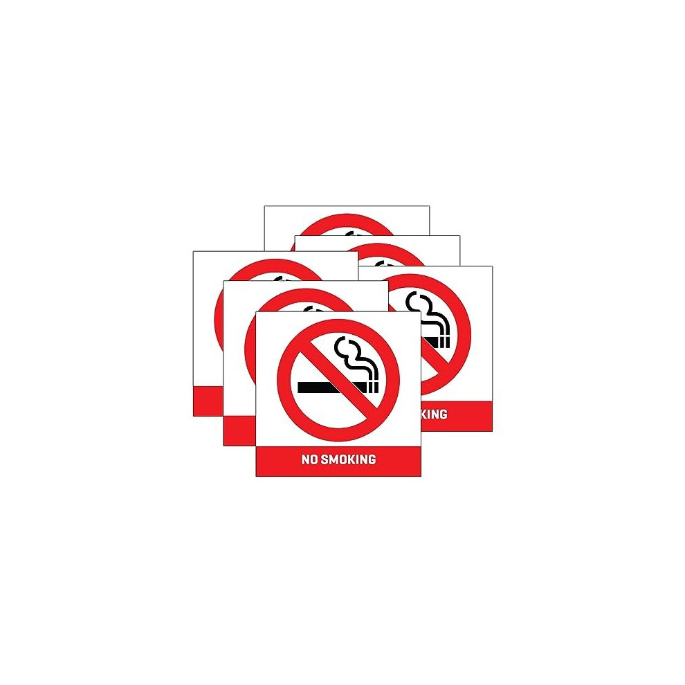 (6 Pack) No Smoking Vinyl Stickers - 100mm