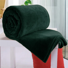 (Green, Single: 130 cm x 150 cm) 310 GSM Blanket Fleece Single Double King Super King Size Bed Throw Sofa Mink Blanket
