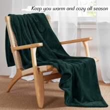 (Green, Super King: 230 cm x 270 cm) 310 GSM Blanket Fleece Single Double King Super King Size Bed Throw Sofa Mink Blanket