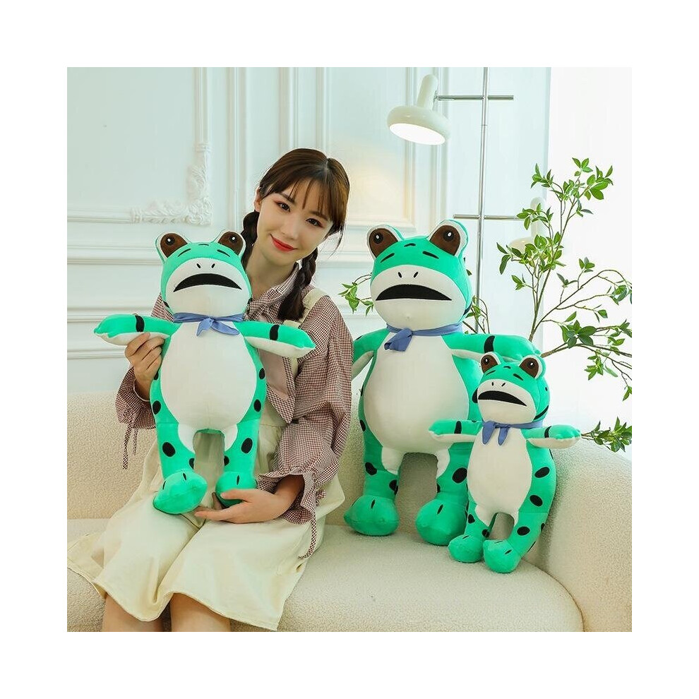 (30cm) Tiktok Influencer Frog Plush Soft Toys Frog Doll