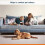 Vax Vax Platinum Professional 1.5 Litre Carpet Cleaner Solution Deep Clean 3