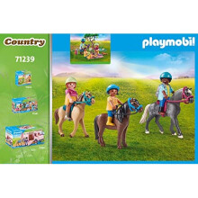 Playmobil Picnic Adventure with Horses