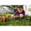 Jurassic World Jurassic World Dinosaur Toy Orkoraptor with Roar Sound & Attack Action, Wild Roar Posable Figure, Physical & Connected Digital Play, HLP21 2
