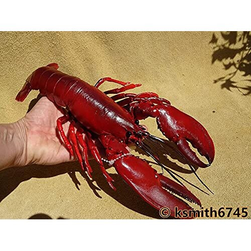 Ravensden L067D Rubber Lobster Toy 32cm 2