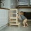 Learning Tower - The Classic Kitchen Helper 3