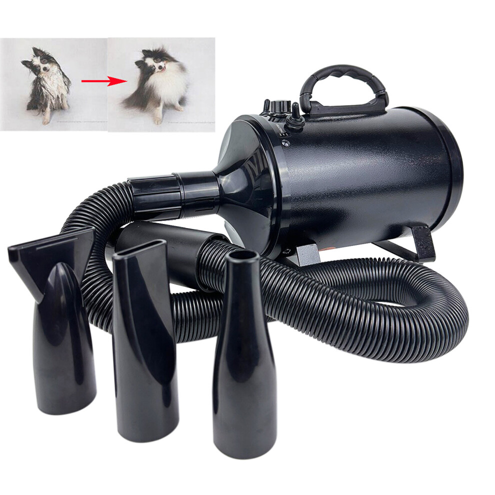 2800W Stepless Speed Dog Pet Hair Dryer Black Low Noise Grooming Cat Hairdryer Professional Heater Blaster Blower with 3 Nozzles