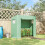 Invernadero para plantas con puerta enrollable 10