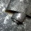 Holden Decor Obsidian Charcoal Silver Wallpaper 75964 2
