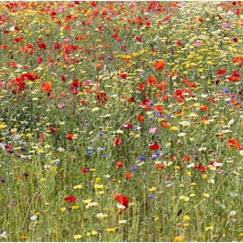 Scented Flower Mixture. 1