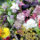Scented Flower Mixture. 1
